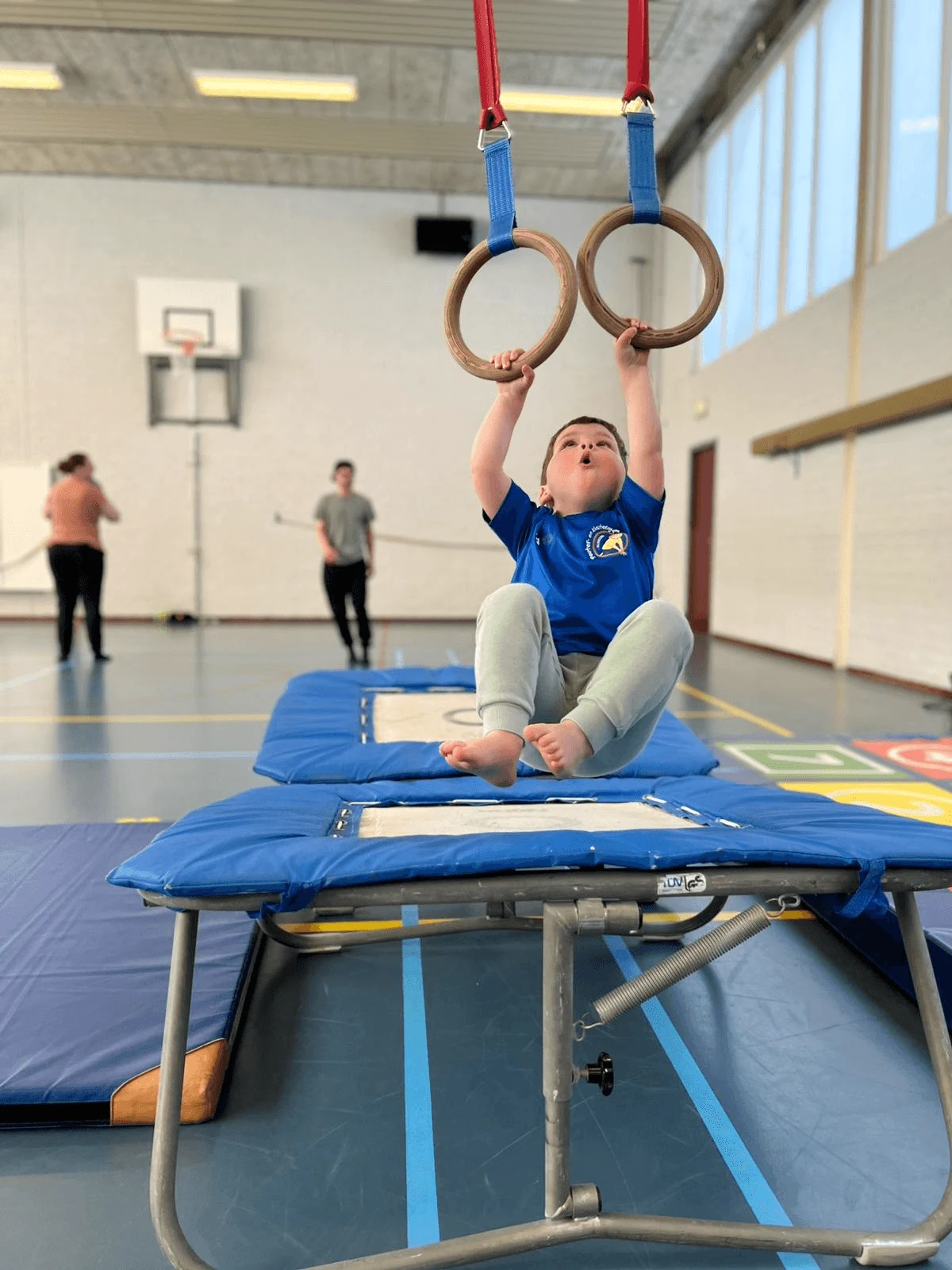 Peuter die aan de ringen beweegt tijdens de gymles